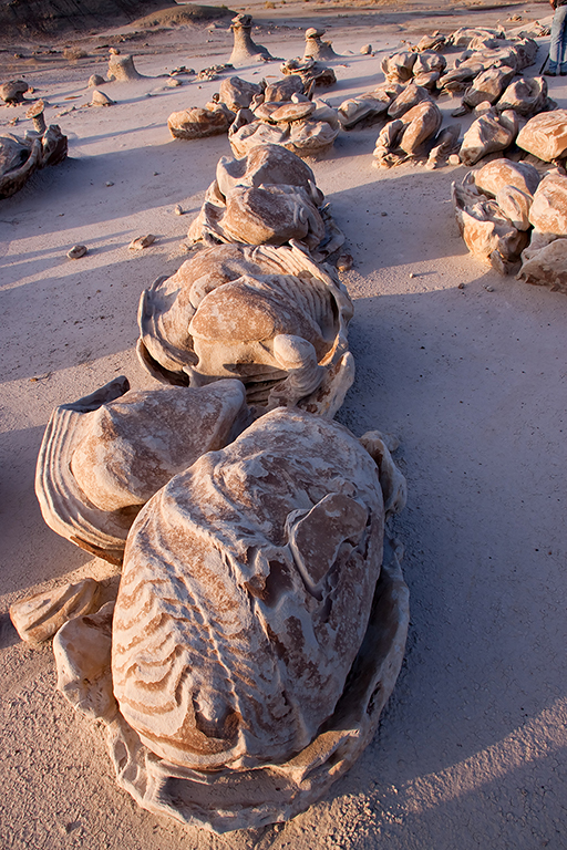 18_Bisti Wilderness__10.jpg